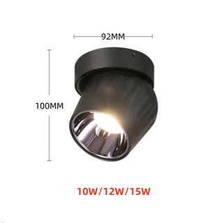 Leonie 2 - Modern Adjustable Dimmable Flush Mount Ceiling Spotlight