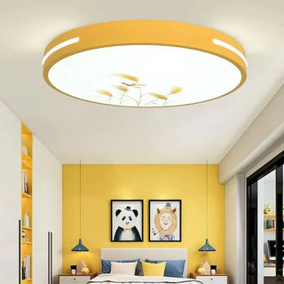 Jelena - Cartoon Design Round Children's Ceiling Light