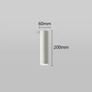 Haima - Modern Cylinder Dimmable Surface Mounted Ceiling Downlight