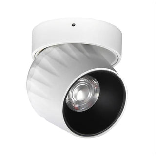 Leonie 2 - Modern Adjustable Dimmable Flush Mount Ceiling Spotlight