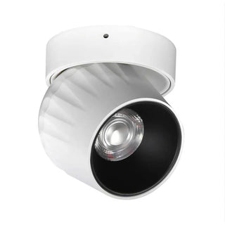 Leonie - Modern Adjustable Dimmable Flush Mount Ceiling Spotlight