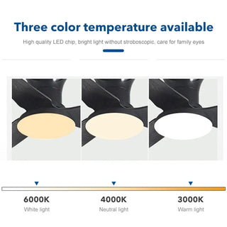 Hagne - Modern 3 Blade 40Inch Remote Control Ceiling Fan with Light