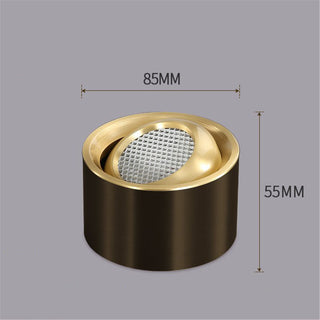 Selegie - Copper Flush Mount Downlight LED Ceiling Light