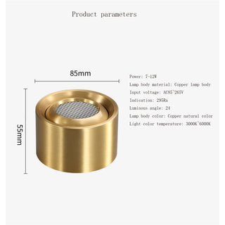 Selegie - Copper Flush Mount Downlight LED Ceiling Light
