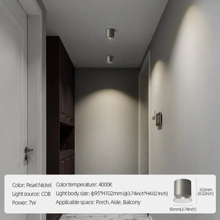 Bencoolen - Pearl Nickel Circular LED Downlight Ceiling Light