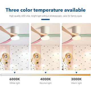 Abidan - Remote Ceiling Light Fan 3 Blade