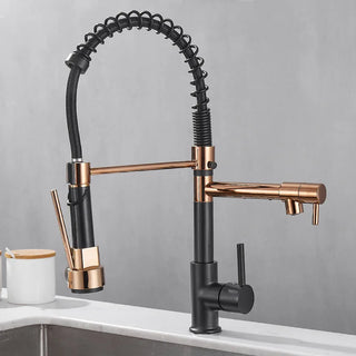 Gena - Pull Out Spout Hot/Cold Dual Hole Mixer Tap