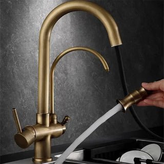 Andre - Antique Brass Kitchen 3 Way Filtered Pull Out Tap