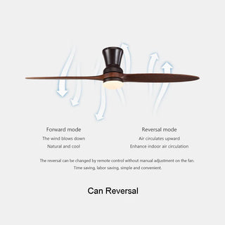Artyom - 60Inch 2 Blade Modern Ceiling Fan