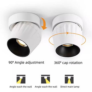 Leonie - Modern Adjustable Dimmable Flush Mount Ceiling Spotlight