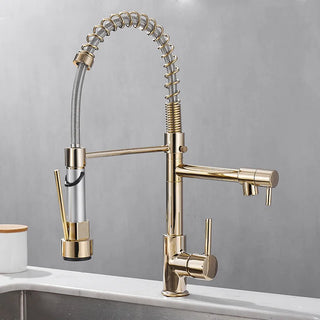 Gena - Pull Out Spout Hot/Cold Dual Hole Mixer Tap