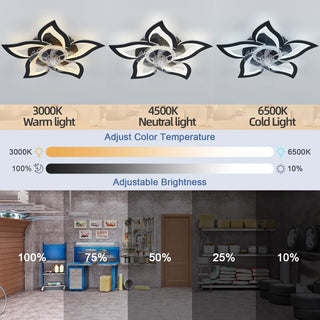 Jeffie - Modern Remote Light Ceiling Fan 5 Blade