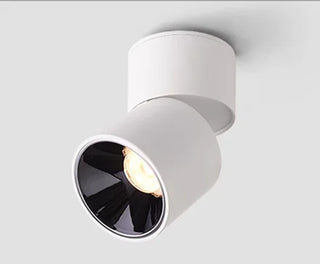 Elab - Modern Surface Mounted Dimmable LED Ceiling Downlight