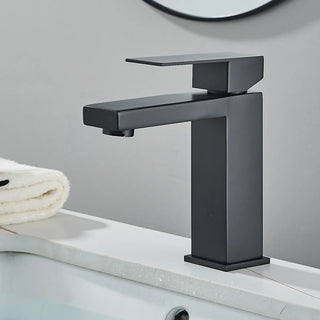 Fasin - Bathroom Faucets Stainless Steel Basin Faucet Tall And Short Deck Mounted