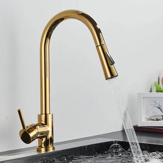 Teresia - Kitchen Brushed Gold Pull Out Modern Single Handle Mixer Tap