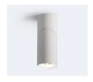 Everton - LED Ceiling Downlight Dimmable Surface Mounted