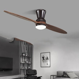 Artyom - 60Inch 2 Blade Modern Ceiling Fan