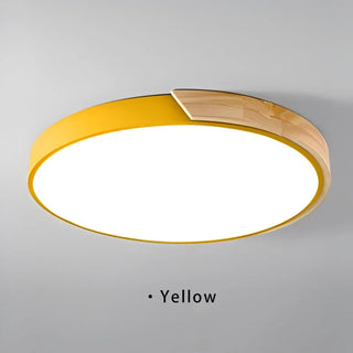 Elorza - Nordic Macaron Ultra Thin Wood Circular  LED Ceiling Lamp Creative Light Fixtures