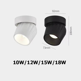 Leonie - Modern Adjustable Dimmable Flush Mount Ceiling Spotlight