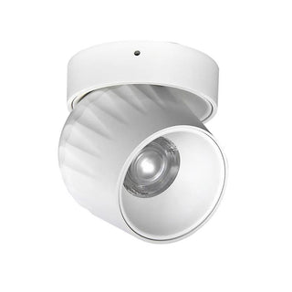 Leonie 2 - Modern Adjustable Dimmable Flush Mount Ceiling Spotlight