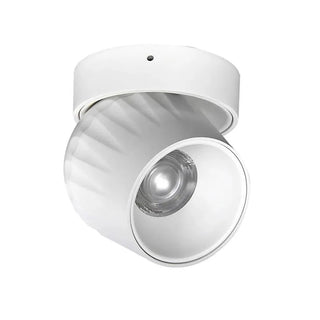 Leonie - Modern Adjustable Dimmable Flush Mount Ceiling Spotlight