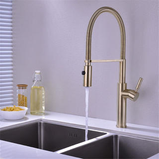 Eufemia - Brushed Gold Pull Out Hot & Cold Single Handle Mixer Kitchen Tap