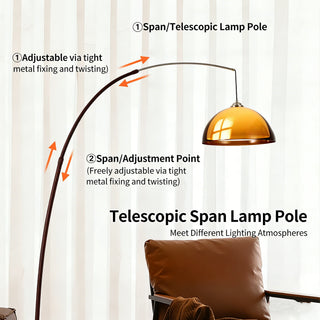 Brunelle - Modern Dark Brown Acrylic Floor Lamp