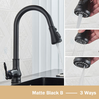 Denae - Brass Single Hole Single Lever Pull Out Kitchen Tap