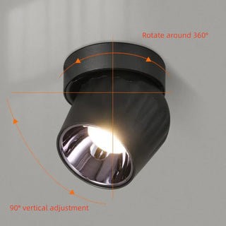 Leonie 2 - Modern Adjustable Dimmable Flush Mount Ceiling Spotlight