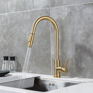 Teresia - Kitchen Brushed Gold Pull Out Modern Single Handle Mixer Tap