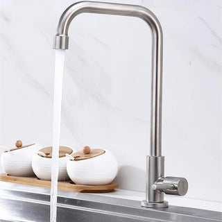 Aletha - Stainless Steel Rotating Cold Water Kitchen Drinking Tap