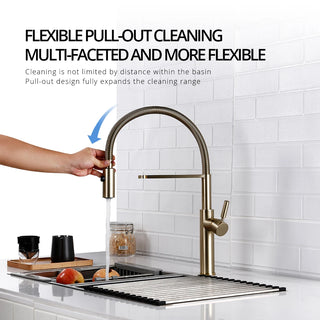 Eufemia - Brushed Gold Pull Out Hot & Cold Single Handle Mixer Kitchen Tap