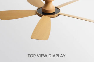 Zelina - Nordic Light Ceiling Fan Remote Control