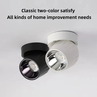 Leonie 2 - Modern Adjustable Dimmable Flush Mount Ceiling Spotlight