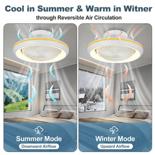 Lexy - Modern Dimmable Quiet Ceiling Fan with LED Lighting