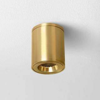 Selegie - Copper Flush Mount Downlight LED Ceiling Light