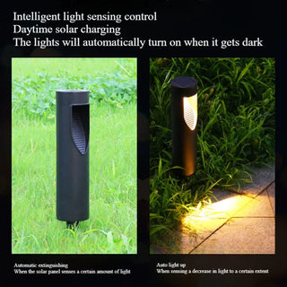 Gillis - Solar Pathway/Walkway Garden Outdoor Black Light
