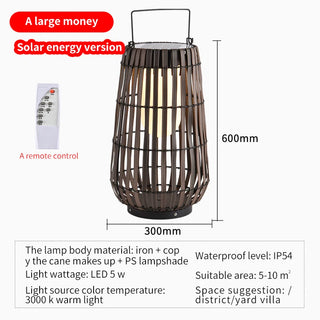 Solvane - Solar Stainless Steel Garden Floor Light