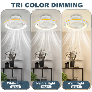 Lexy - Modern Dimmable Quiet Ceiling Fan with LED Lighting