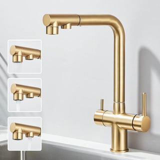 Lisandra - Pull Out Kitchen Filtered Dual Sprayer Tap