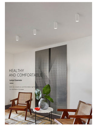 Koska - Modern Nordic Resin LED Ceiling Downlight Anti-Glare