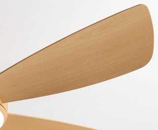 Zelina - Nordic Light Ceiling Fan Remote Control