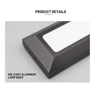 Emrique - Flush-Mount Outdoor Rectangle LED Wall Light