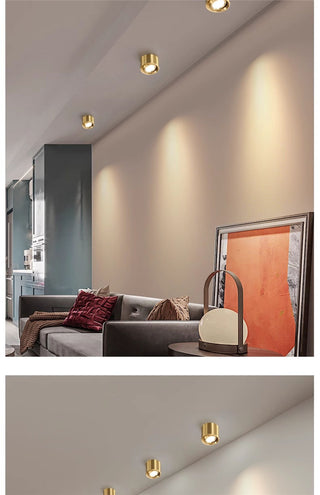 Selegie - Copper Flush Mount Downlight LED Ceiling Light