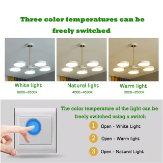 Catalina - Modern Circular Branched White Gold Hanging Ceiling Light Chandelier