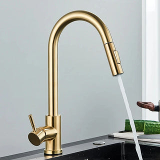 Teresia - Kitchen Brushed Gold Pull Out Modern Single Handle Mixer Tap