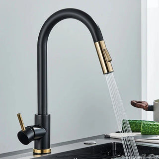 Teresia - Kitchen Brushed Gold Pull Out Modern Single Handle Mixer Tap