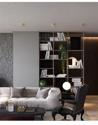 Selegie - Copper Flush Mount Downlight LED Ceiling Light