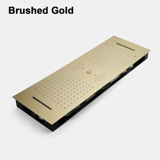 Loida - Modern LED Stainless Steel Ceiling Mounted Shower Panel with Phone Control