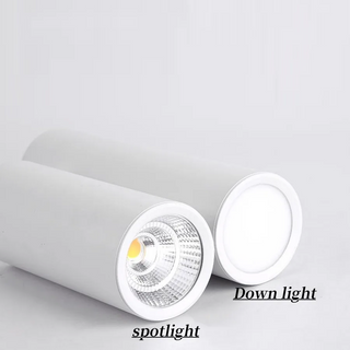 Haima - Modern Cylinder Dimmable Surface Mounted Ceiling Downlight